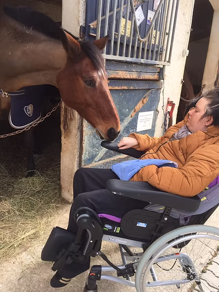 Animal rencontré pendant une balade ou des vacances