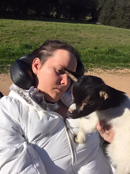Animal rencontré pendant une balade ou des vacances
