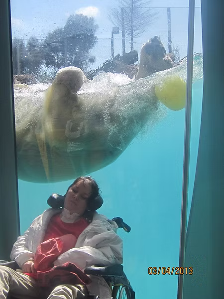 Animal rencontré pendant une balade ou des vacances